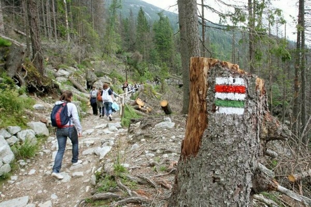 Minister pozastavil proces schvaľovania návštevného poriadku TANAP-u